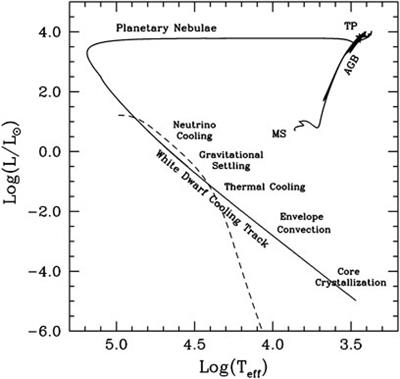 White Dwarfs as Physics Laboratories: Lights and Shadows